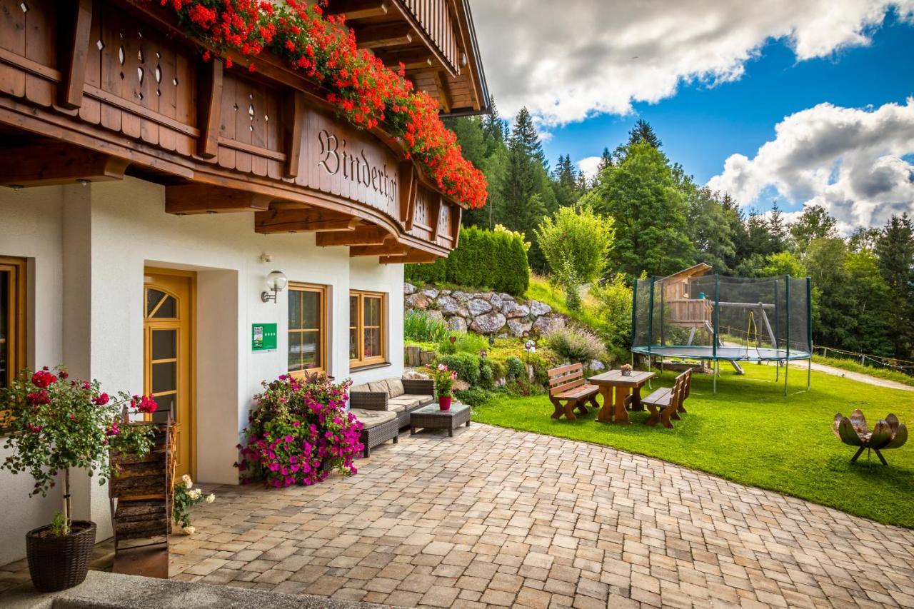 Appartement Binderhof à Weisspriach Extérieur photo